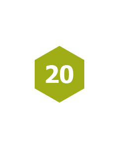 20 Pack of BizBoxes 16x12x12