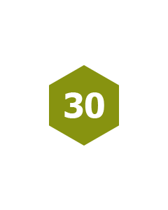30 Pack of BizBoxes